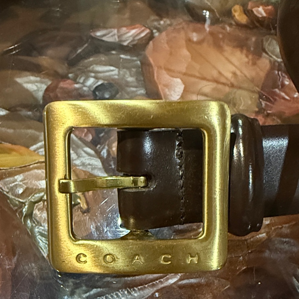 Women Coach Dark Brown Belt with Gold Buckle